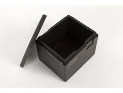 THERMO Box Pavoni, 390x330x316, 22.3 L