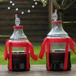 10 l demižón s popruhmi