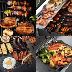 Plynový gril dragon BBQ201, 18,8 kW, strieborný