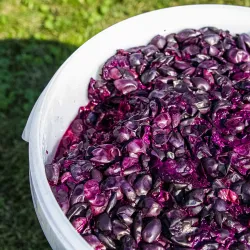 30 l fermentačná nádoba s vekom Browin - sada
