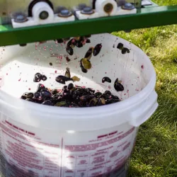 30 l fermentačná nádoba s vekom Browin - sada